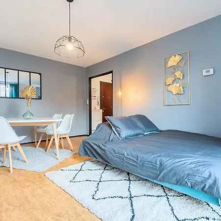 Grand T2 A 8mn De Lille Et Stadium Terrasse Et Parking Prive