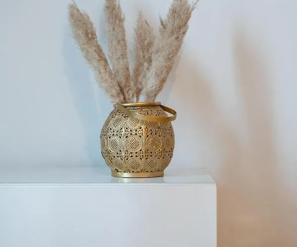 Appartement Grand T2 à 8mn De Lille Et Stadium Terrasse Et Parking Privé Villeneuve-d'Ascq